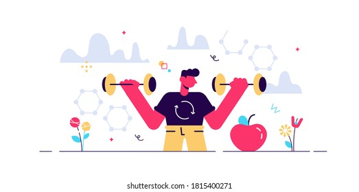 Male metabolism vector illustration. Food to energy process. Flat tiny person concept. Nutrition chemical reactions in organism synthesis. Abstract man digestive tract and biochemistry food process.