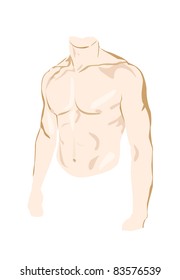 Male muscular torso vector illustration