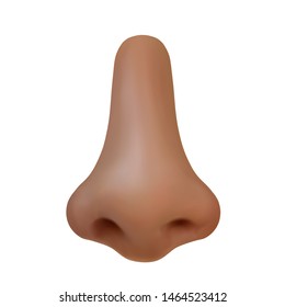 Male nose in full face. Vector realistic illustration on a white background.