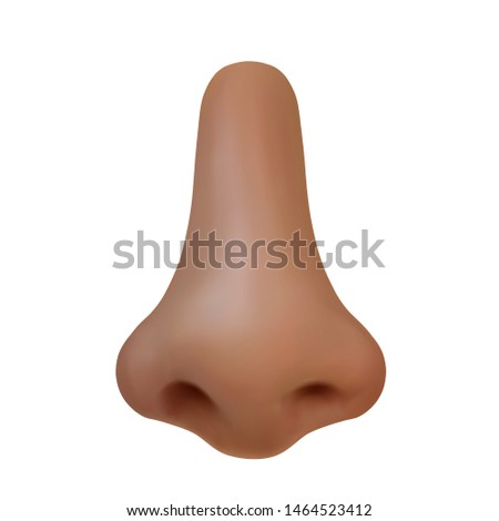 Male nose in full face. Vector realistic illustration on a white background.