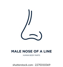 male nose of a line icon from human body parts collection. Thin linear male nose of a line, nose, male outline icon isolated on white background. Line vector male nose of a line sign, symbol for web 