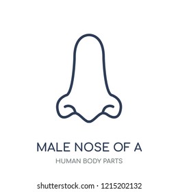 Male nose of a line icon. Male nose of a line linear symbol design from Human Body Parts collection.