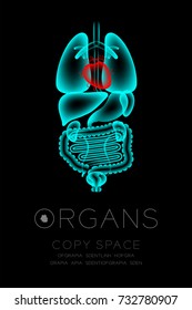 Male Organs X-ray set, Heart infection concept idea red color illustration isolated glow in the dark background, with Organ text icon and copy space