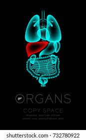 Male Organs X-ray set, Liver infection concept idea red color illustration isolated glow in the dark background, with Organ text icon and copy space