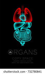 Male Organs X-ray set, Lung infection concept idea red color illustration isolated glow in the dark background, with Organ text icon and copy space