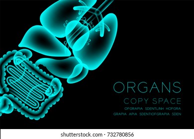 Male Organs X-ray set, Normal concept idea illustration isolated glow in the dark background, with Organ text and copy space