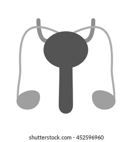 Male Reproductive System