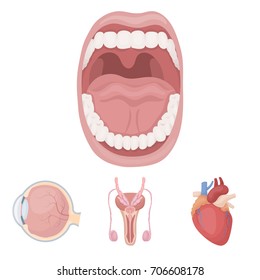 Male reproductive system, heart, eyeball, oral cavity. Organs set collection icons in cartoon style vector symbol stock illustration web.