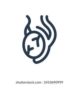 Male Reproductive Testes Vector Icon Illustration