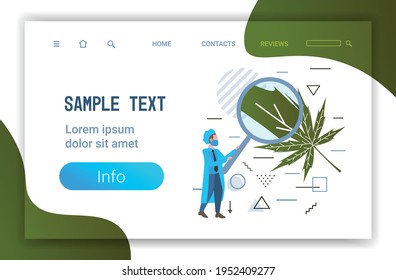 male researcher using magnifier for checking marijuana leaf healthcare pharmacy medical cannabis concept horizontal full length copy space