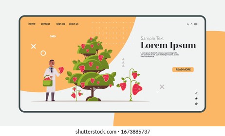 male scientist picking plant based vegetarian steak beyond meat from tree organic natural vegan food concept horizontal full length copy space vector illustration