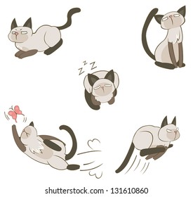 Male Siamese cat pet in various action and expression icon, create by cartoon vector