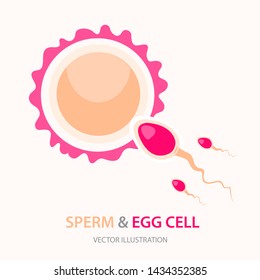 Male Sperm Fertilize Female Egg, Fertilization And Ovulation Concept. Medical And Healthcare Background With Moving Spermatozoons And Female Egg. Vector Illustration Isolated On White Background