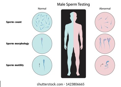 Wayson recommends best of Mythbusters sperm testing Dillon recommend Free pornstar punishment picture galleries