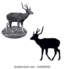 Male spotted deer, black vector silhouette and imitation of ink drawing