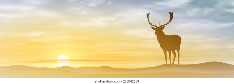 Male Stag Deer with Misty Sunset, Sunrise. Vector EPS 10.