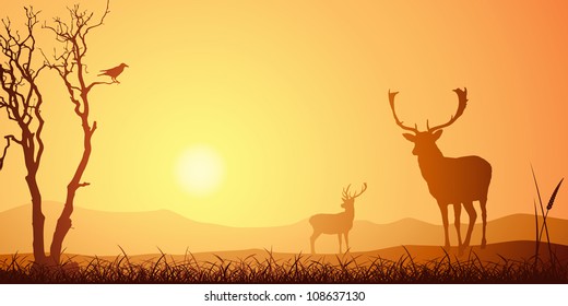 Male Stag Deer on a Meadow with Tree and Bird