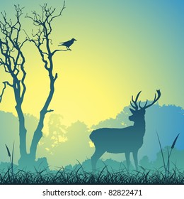 Male Stag Deer on a Meadow with Trees and Bird