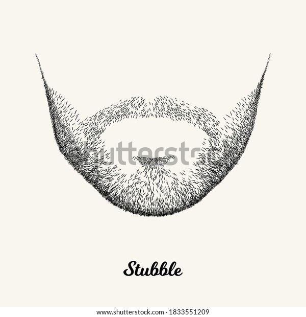 Male stubble. Simple\
linear Illustration with fashionable men hairstyle. Contour vector\
background with isolated element for barber shop decor, prints,\
t-shirts, posters