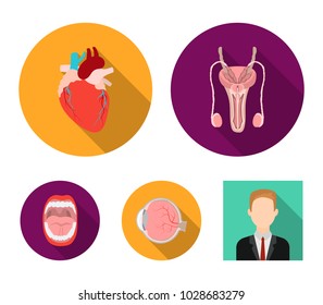 Male system, heart, eyeball, oral cavity. Organs set collection icons in flat style vector symbol stock illustration web.