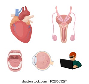 Male system, heart, eyeball, oral cavity. Organs set collection icons in cartoon style vector symbol stock illustration web.