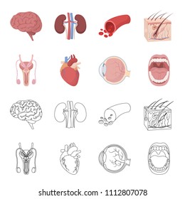 Male system, heart, eyeball, oral cavity. Organs set collection icons in cartoon,outline style vector symbol stock illustration web.
