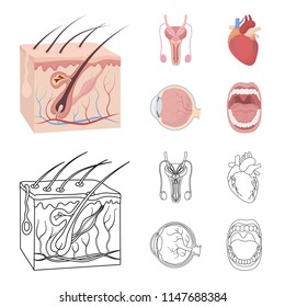 Male system, heart, eyeball, oral cavity. Organs set collection icons in cartoon,outline style vector symbol stock illustration web.