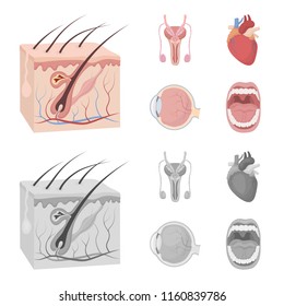 Male system, heart, eyeball, oral cavity. Organs set collection icons in cartoon,monochrome style vector symbol stock illustration web.