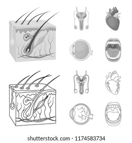 Male system, heart, eyeball, oral cavity. Organs set collection icons in outline,monochrome style vector symbol stock illustration web.