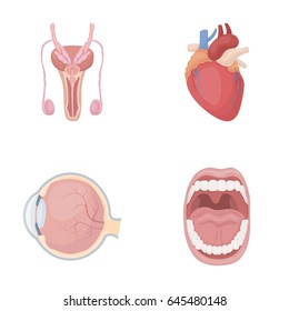 Male system, heart, eyeball, oral cavity. Organs set collection icons in cartoon style vector symbol stock illustration web.