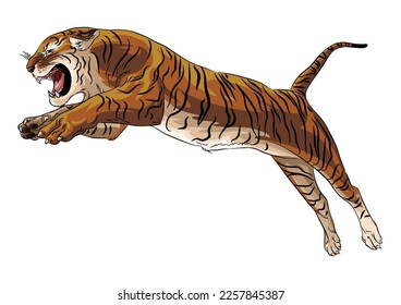 a male tiger jumped with an angry expression.