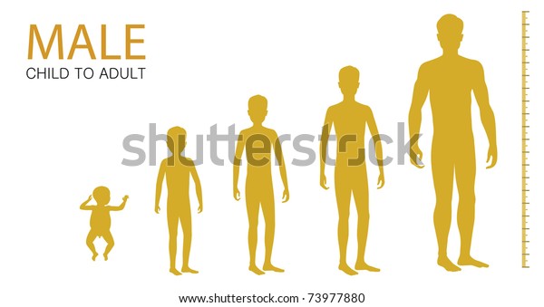 Male Time Lapse Child Adult Silhouettes Stock Vector (Royalty Free ...