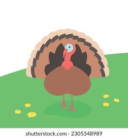 Male turkey standing on the green grass. Domestic farm fowl walking in a spring meadow. Flat cartoon illustration