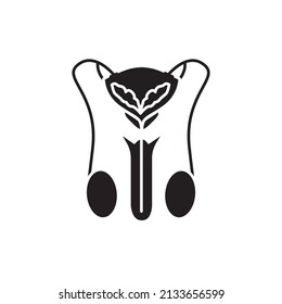 Male urinary system color line icon. Pictogram for web page, mobile app, promo.