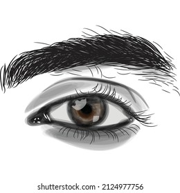 male vector eyes with eyebrow