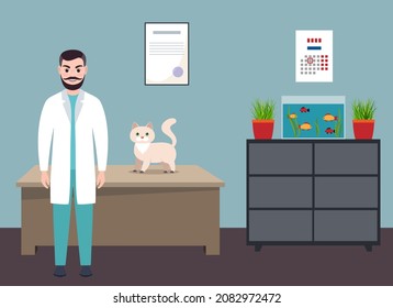 male veterinarian and cat, flat vector illustration, interior of the veterinary office in the clinic