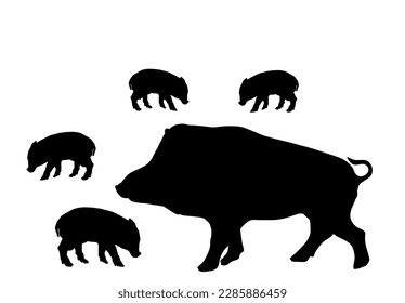 Male warthog with baby pigs vector silhouette illustration isolated on white background. Pork meat. Wild boar shape animal family symbol. Shadow swine breeding. Organic food. Little piglet.