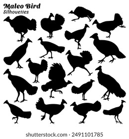 Maleo bird silhouette vector set