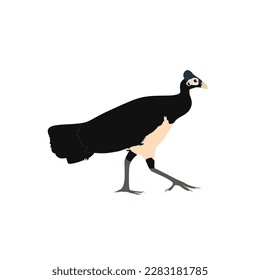 Maleo Senkawor, Macrocephalon maleo. Maleo vector design, png high quality image with transparent background