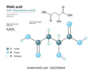 Malic acid. AHA Alphahydroxy acid. Structural chemical formula and molecule 3d model. Atoms with color coding. Vector illustration