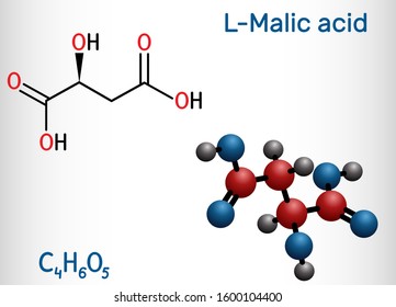 Malic acid C4H6O5 molecule, is dicarboxylic acid. Structural chemical formula and molecule model. Vector illustration