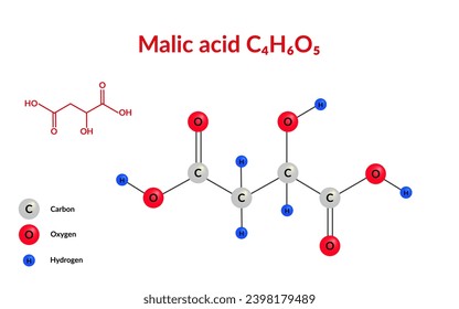 Malic acid molecular structure formula C4H6O5, ball-and-stick model, suitable for education or chemistry science content. Vector illustration