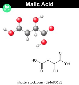 Malic acid molecule, malate, structural chemical formula and model, 2d & 3d vector, isolated on white background, eps 8