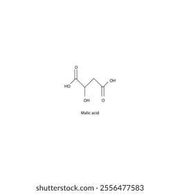 Malic acid skeletal structure diagram.aliphatic acid compound molecule scientific illustration.