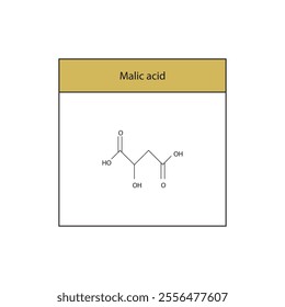 Malic acid skeletal structure diagram.aliphatic acid compound molecule scientific illustration.