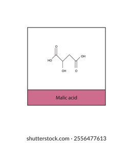 Malic acid skeletal structure diagram.aliphatic acid compound molecule scientific illustration.