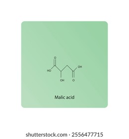 Malic acid skeletal structure diagram.aliphatic acid compound molecule scientific illustration.