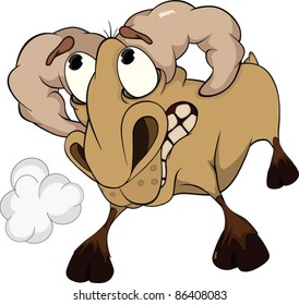 Malicious ram. A lamb.