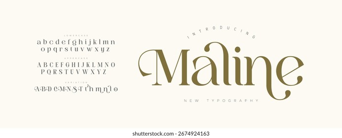 Maline Elegant Font Mayúsculas y minúsculas. Diseños de moda minimalistas con letras clásicas. Tipografía moderna serif Fuentes concepto vintage decorativo regular. Ilustración vectorial
