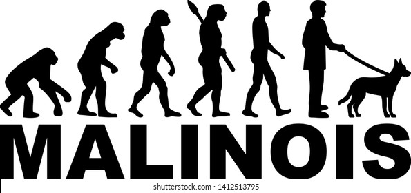 Malinois evolution with silhouette and name